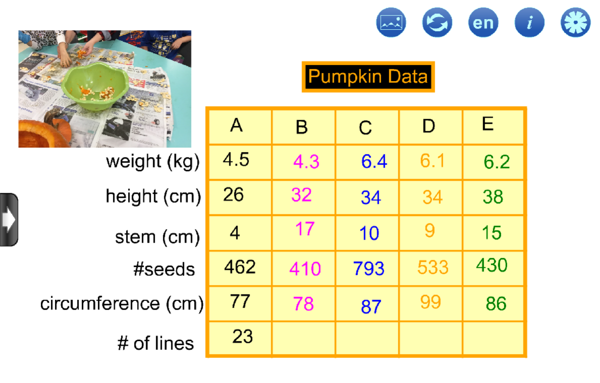 Pumpkin weight data